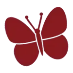 kd-butterfly-rotated